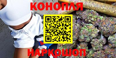 мяу мяу мука Камышлов