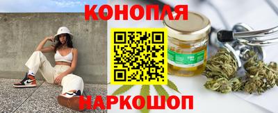 шишки Канаш